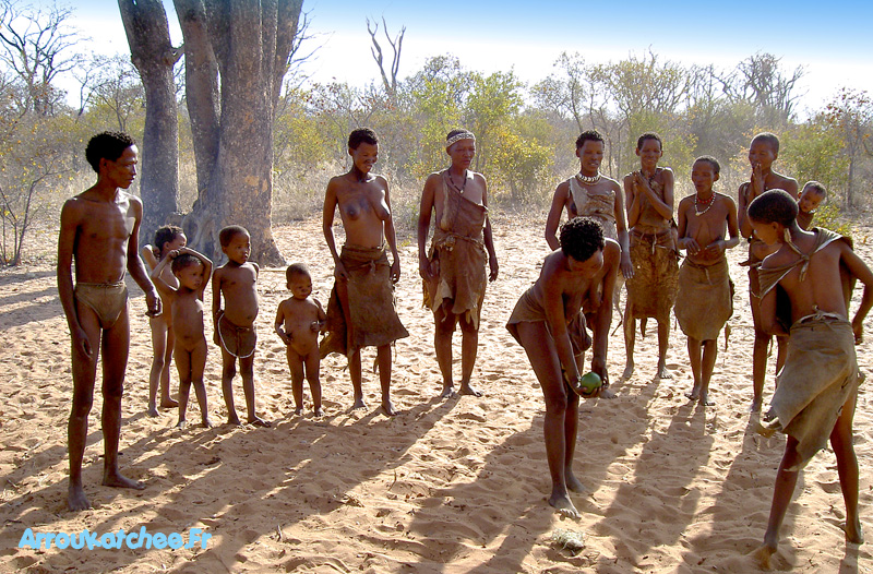 peuple bushmen